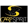 Carp Spirit